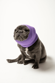 PET HOODZ DOG HOODIES FOR ANXIETY (Color: lavender, size: large)