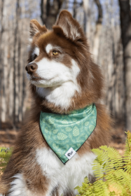 Pine Cone Pup Bandana (size: XL - 35in x 17in)